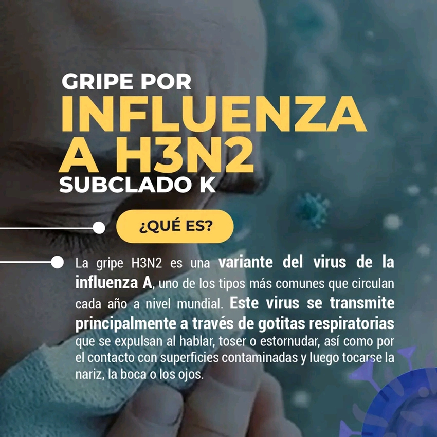 Infografía sobre gripe A (H3N2) 