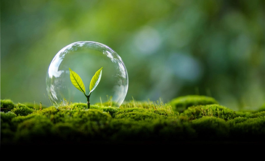 Protección del Medio Ambiente