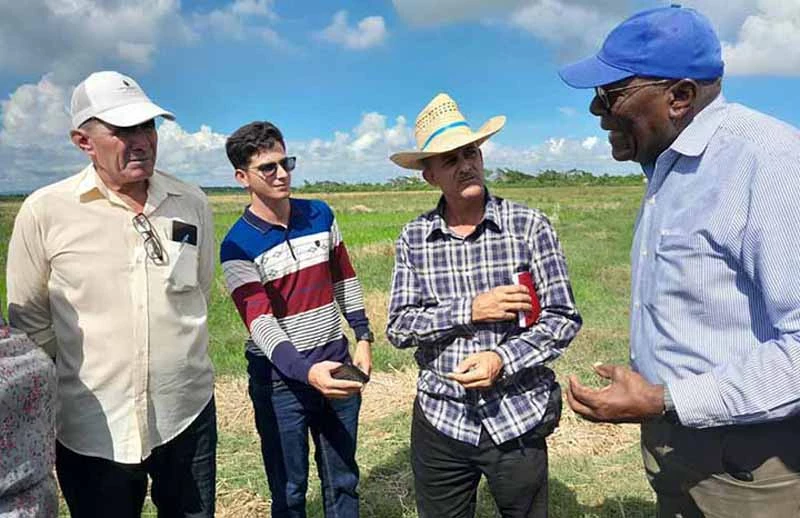 renovar, gestión agroalimentaria, Holguín, insta, vicepresidente, Salvador Valdés Mesa, visita, municipio de Mayarí