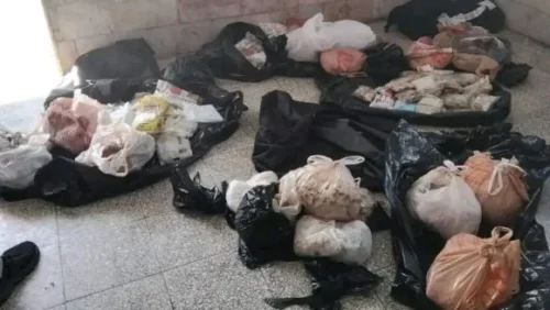 Aduana, Cuba, Delito, Estados Unidos, Holguín, Ilegalidades, Medio Ambiente