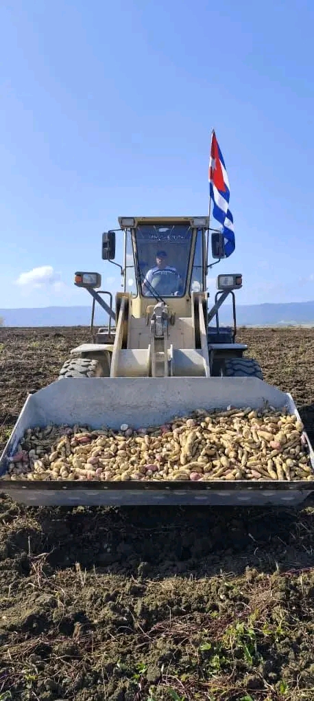 Apoya ECOI 16 acciones de soberanía alimentaria 0