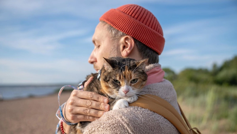 Dolor, muerte, mascota, fuerte, familiar, salud, sociedad
