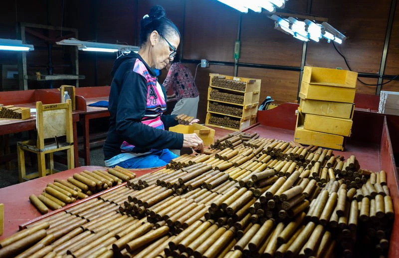producción, tabacos, Holguín, energía solar
