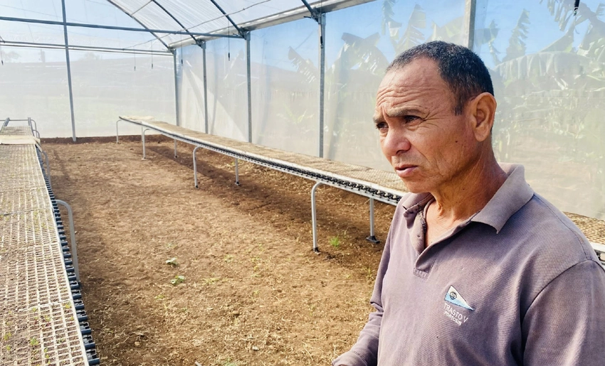 Productor agrícola de Urbano Noris