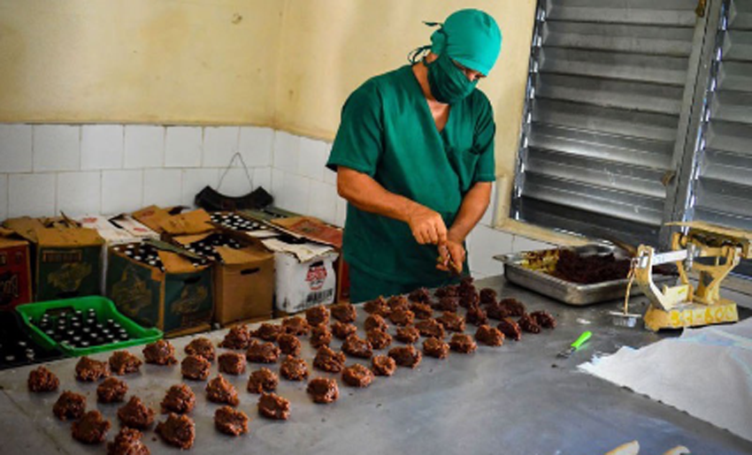 Elaboración de alimentos, Numa, Holguín