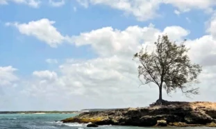 Costa en Gibara