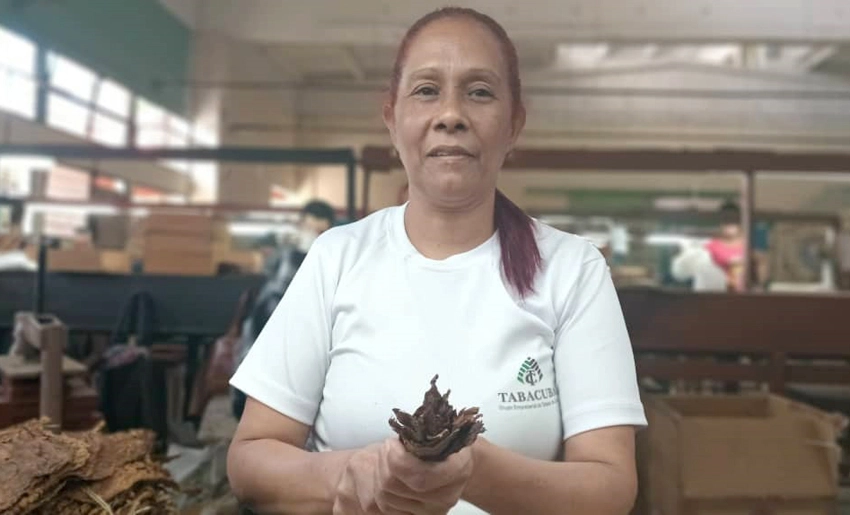 Mujer en fábrica de tabacos, Holguín