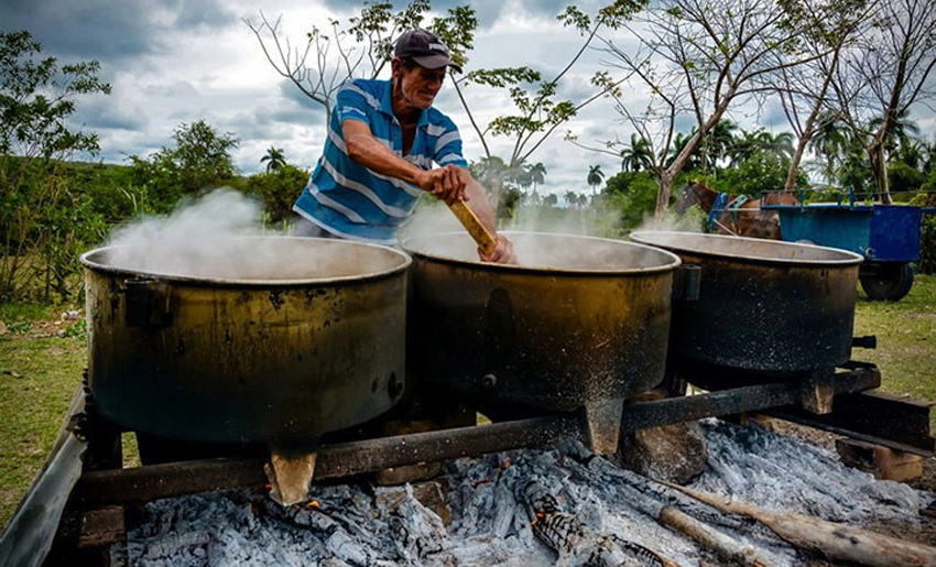 Alimentación Cuba