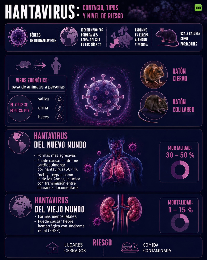 crucero, golpeado, hantavirus, llega, Canarias 