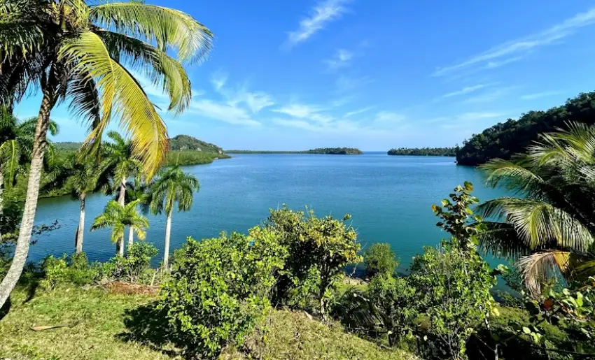 bosques cuba
