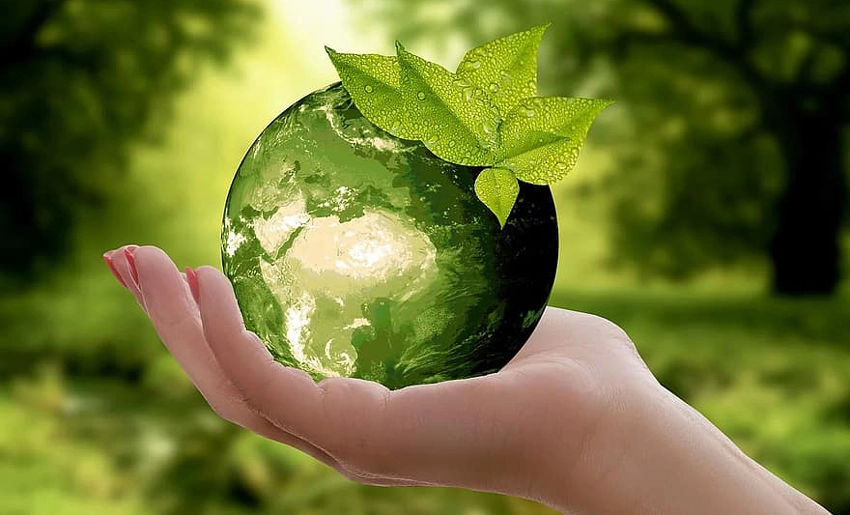 Protección medio ambiente