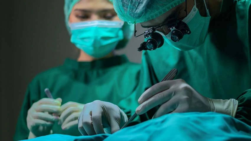 transplante, riñón, cerdo, humanos