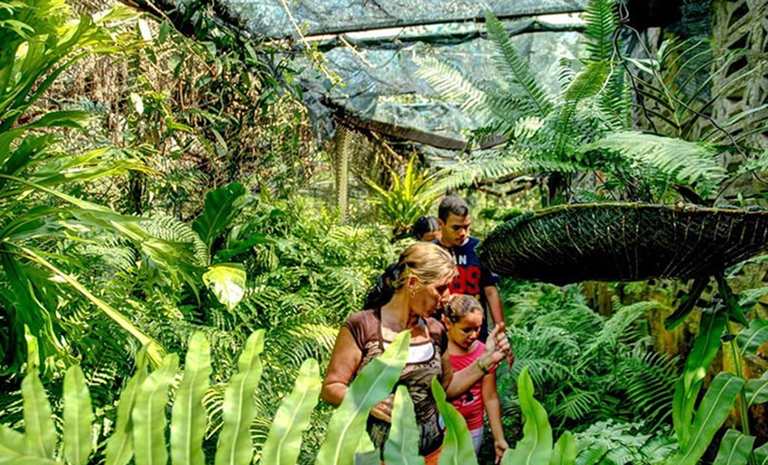 Jardín Botánico, Holguín, ofertas, verano 2025