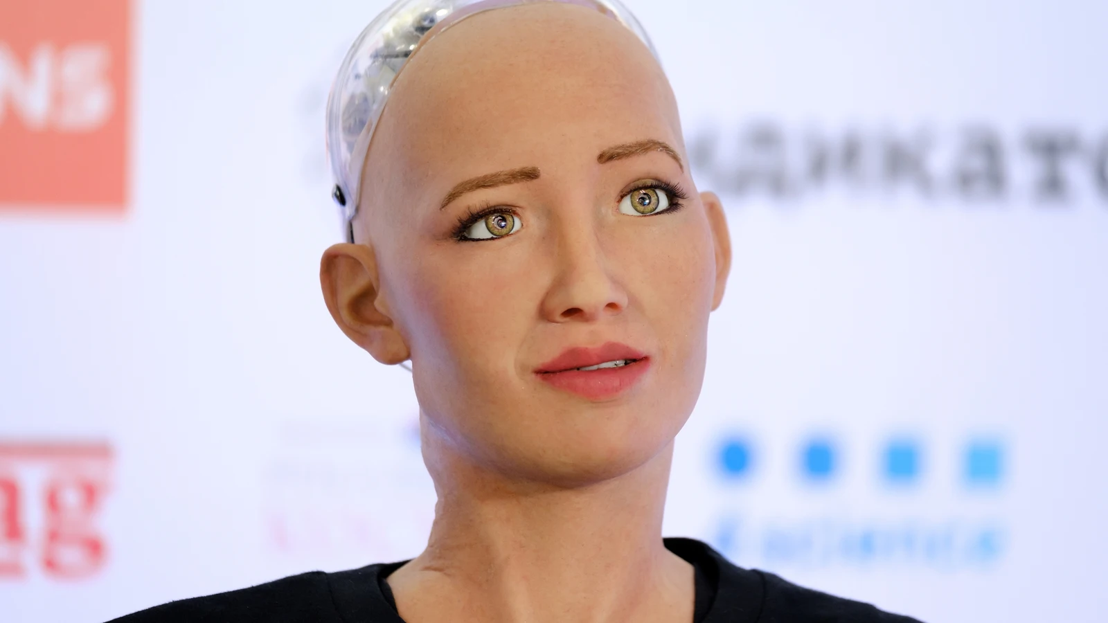 robots humanoide, matrimonio