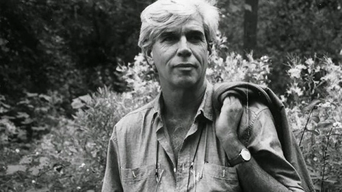 Humberto Solás, cineasta, libro