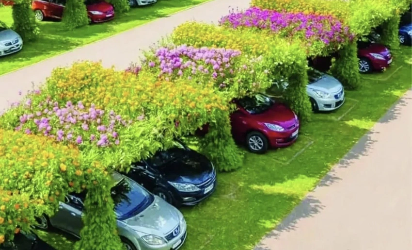 jardines, flotantes, parqueos, calor, Japón