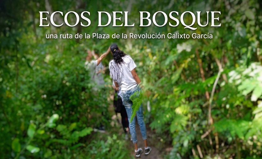 Bosque de los Héroes, Holguín