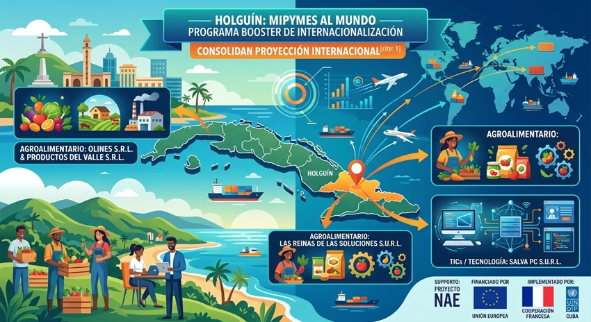Infografía, mipymes de Holguín